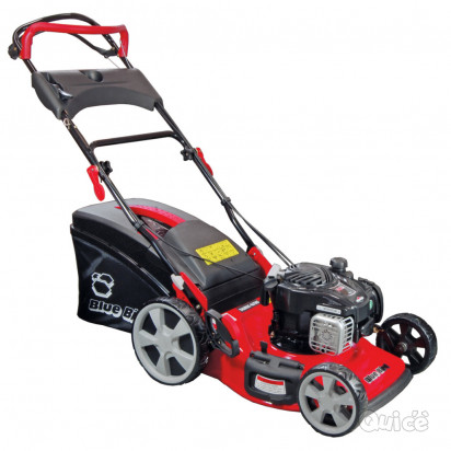 Decespugliatore foto-33677