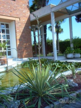 Elegante villa senza tempo foto-44177