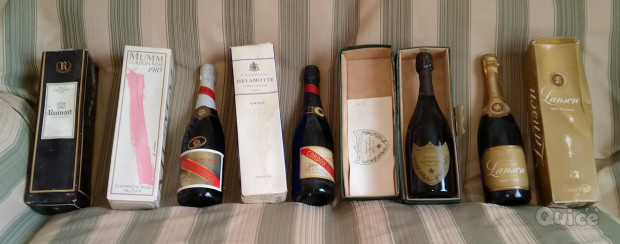 8 Bottiglie Champagne foto-8486