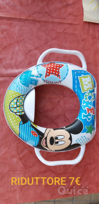 VASINO e riduttore  foto-9154