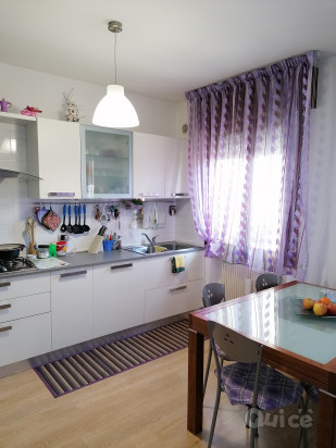 Bilocale ristrutturato  foto-9844