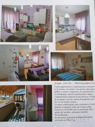 Bilocale ristrutturato  foto-61491