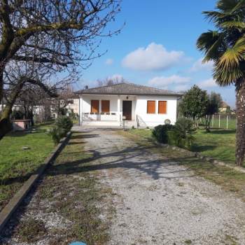 Casa singola in vendita a San Pietro Viminario (Padova)