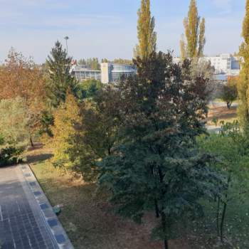 Appartamento in vendita a Carpi (Modena)