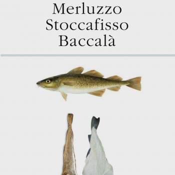 Merluzzo Stoccafisso Baccalà