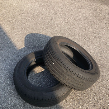 Gomme estive 