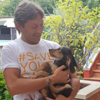 Veterinario 49 anni