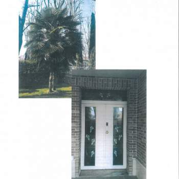 Villa in vendita a Mirandola (Modena)