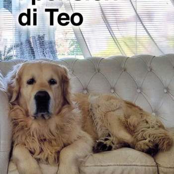 I pensieri di Teo