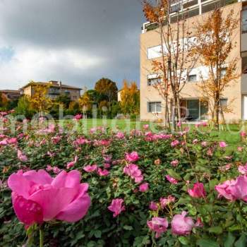 Treviso Fuori mura a Treviso