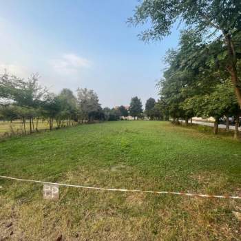 Terreno in vendita a Scorzè (Venezia)