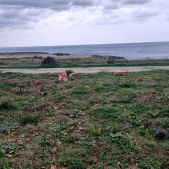 Terreno in vendita a Ostuni (Brindisi)