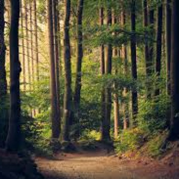 Cerco compagna amante della Natura ed escursioni trekking (Toscana)