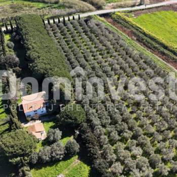 Rustico in vendita a Capalbio (Grosseto)
