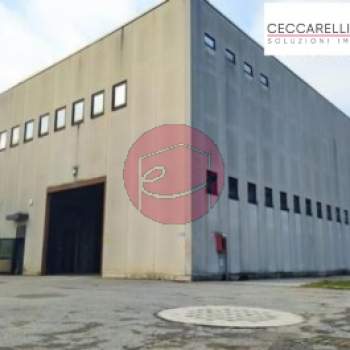 Capannone in vendita a Cesena (Forlì-Cesena)