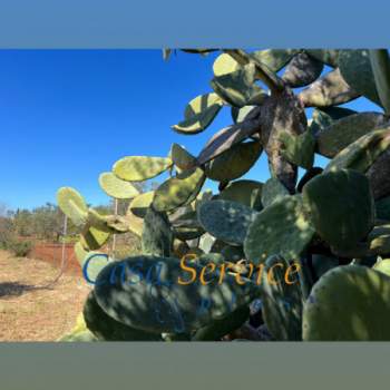 Terreno in vendita a Gallipoli (Lecce)