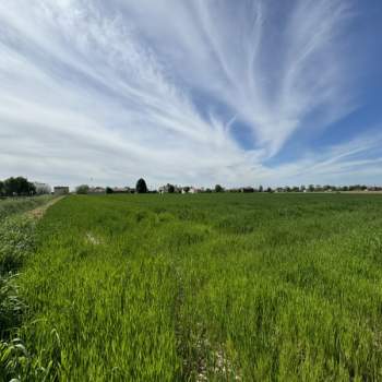 Terreno in vendita a Ospedaletto Euganeo (Padova)