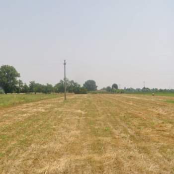 Terreno in affitto a Piazzola sul Brenta (Padova)