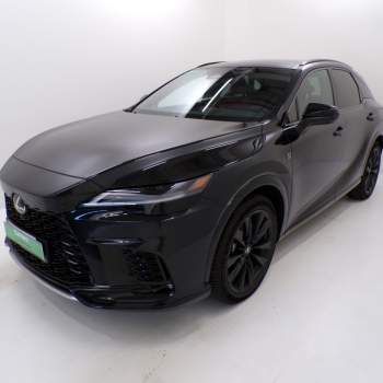 LEXUS RX (Nervesa Centro Usato)