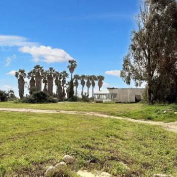Terreno in vendita a Porto Cesareo (Lecce)
