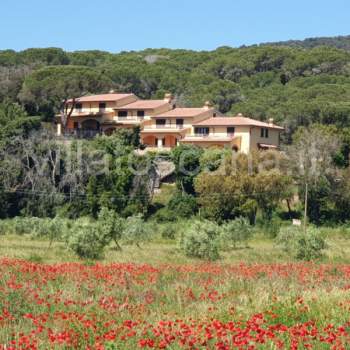 Casa a schiera in vendita a Castiglione della Pescaia (Grosseto)