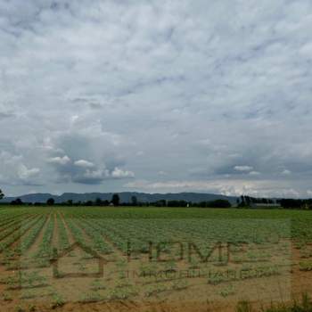 Terreno in vendita a Cervarese Santa Croce (Padova)
