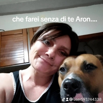 Cerco inquilino /a,as Arezzo. Gente tranquilla che non faccia troppo domande.. v