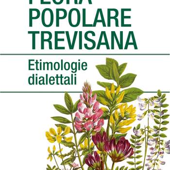 Flora popolare trevisana