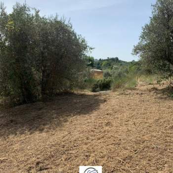Terreno in vendita a Palombara Sabina (Roma)
