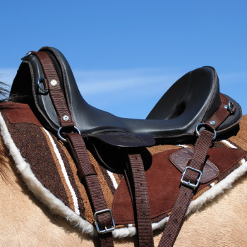 Sella da dressage Kentaur Ithaka 17,5 pollici 33 KW