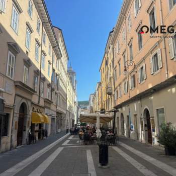 Attivita commerciale in vendita a Trieste (Trieste)