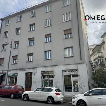 Attivita commerciale in vendita a Trieste (Trieste)