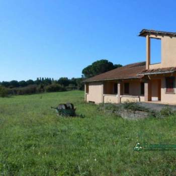 Villa in vendita a Roma (Roma)