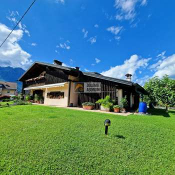 Villa in vendita a Sedico (Belluno)