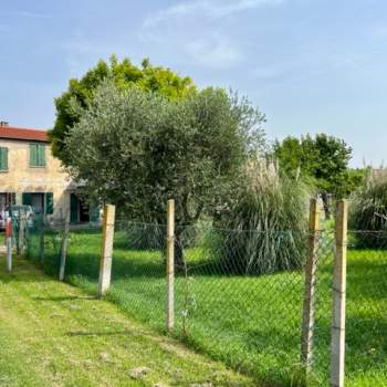 Casa singola in vendita a Arquà Petrarca (Padova)