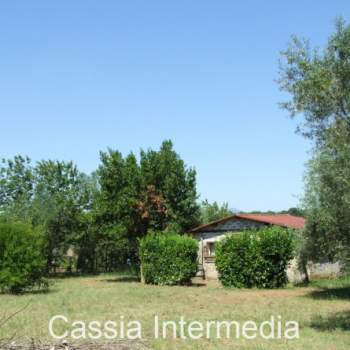 Terreno in vendita a Castel Sant'Elia (Viterbo)
