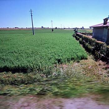 Terreno in vendita a Lagosanto (Ferrara)