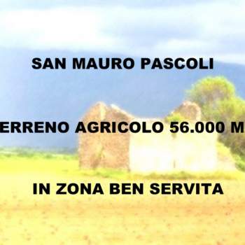 Terreno in vendita a San Mauro Pascoli (Forlì-Cesena)
