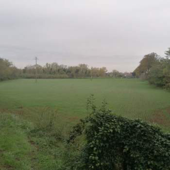 Terreno in vendita a Forlimpopoli (Forlì-Cesena)