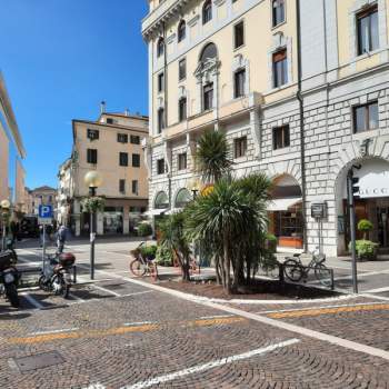 Appartamento in vendita a Padova (Padova)