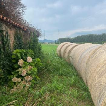 Rustico in vendita a Monselice (Padova)