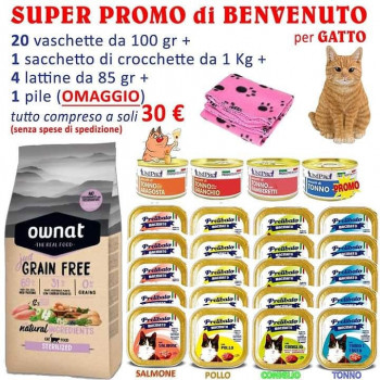 Bag di benvenuto per cani e gatti