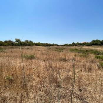 Terreno in vendita a Sassari (Sassari)