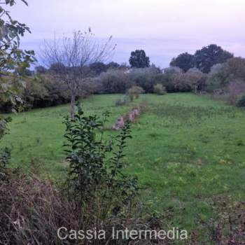 Terreno in vendita a Castel Sant'Elia (Viterbo)