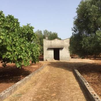 Rustico in vendita a Ceglie Messapica (Brindisi)