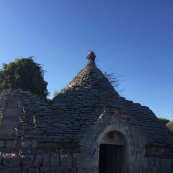 Rustico in vendita a Ceglie Messapica (Brindisi)