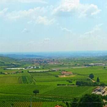 Terreno in vendita a Tregnago (Verona)