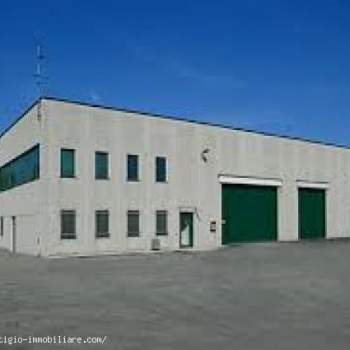 Attivita commerciale in affitto a Alba (Cuneo)