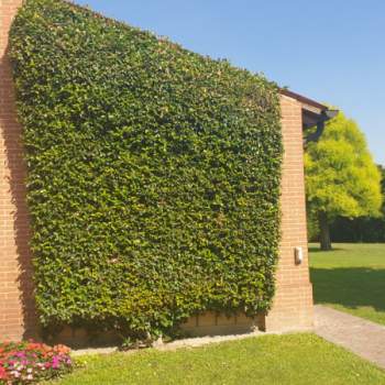 Villa in vendita a Este (Padova)