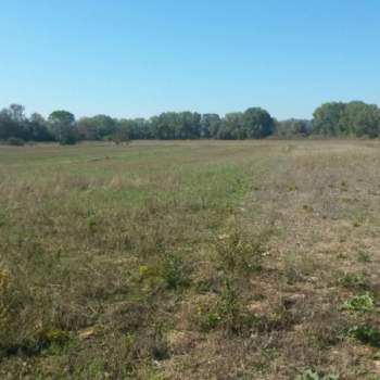 Terreno in vendita a Novi di Modena (Modena)